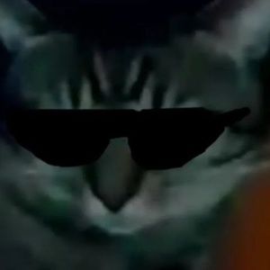 Meet your Posher, Deanna